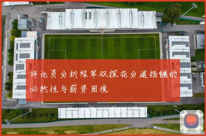 评论员分析绿军双探花分道扬镳的必然性与薪资困境